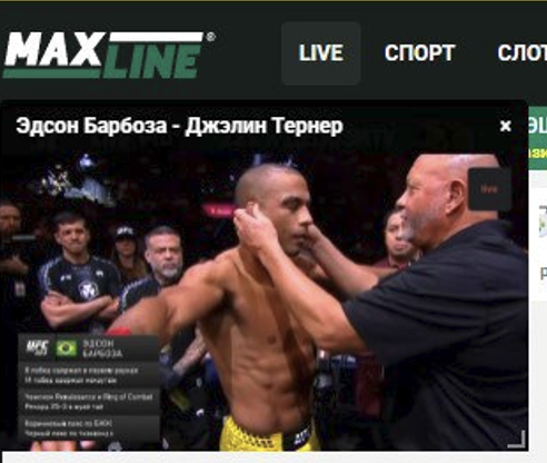 Пример трансляции в Maxline