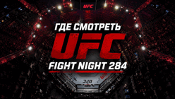 Прямые трансляции UFC Fight Night 284 (9 августа): где смотреть Гамрот — Салкиллд и весь кард