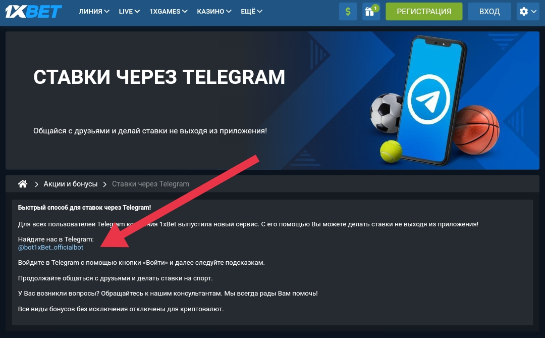 Раздел на сайте 1xBet