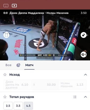 Пример трансляции в «Фонбет»