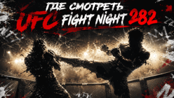 Прямые трансляции UFC Fight Night 282 (25 июля): где смотреть Анкалаев — Гуськов и весь кард