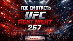 Где смотреть UFC Fight Night 267 (22 февраля): Стрикленд — Эрнандес и весь кард
