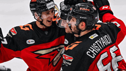 Итоги 26 марта: 889-й гол Овечкина, «Авангард» победил «Металлург», Мирра и Диана – в полуфинале Майами