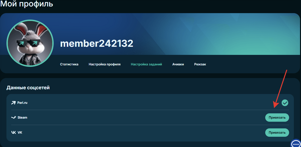Связь профиля с аккаунтом ы Steam и VK