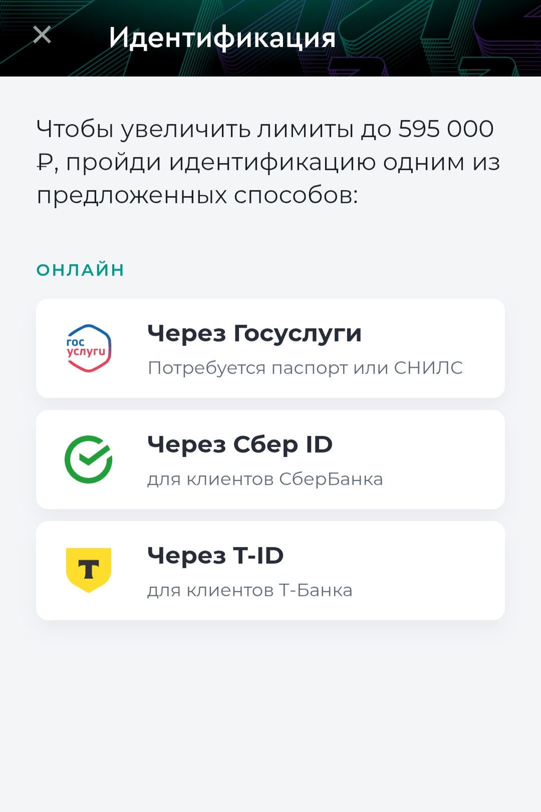 Из приложения можно перейти к сервисам для прохождения полной идентификации