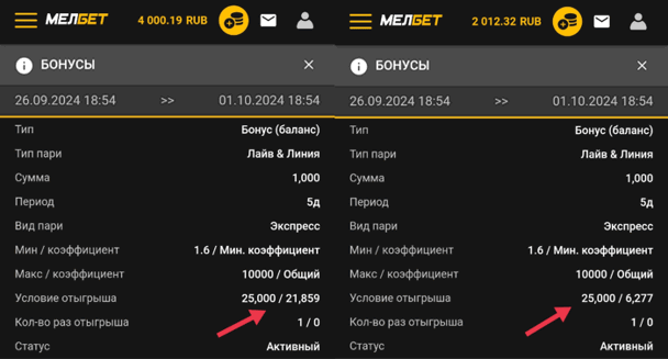 Вся информация по бонусу и прогресс его отыгрыша в разделе «Мои бонусы»